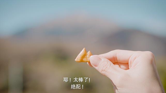 日產(chǎn)汽車(chē)與柿種餅干的故事！